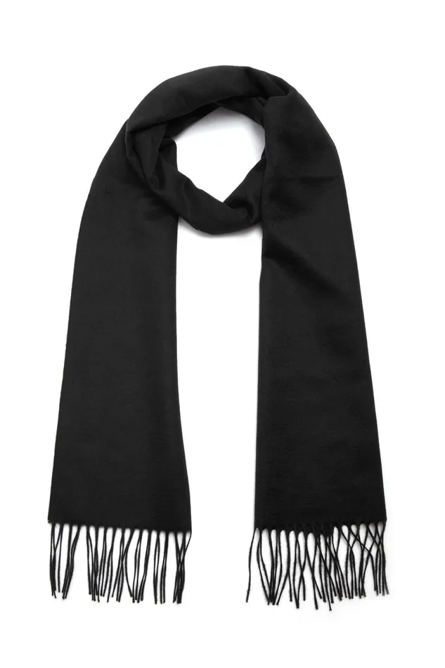 Accessories Men Gabriela Hearst Blaine Fringe Scarf In Black Silk Cashmere
