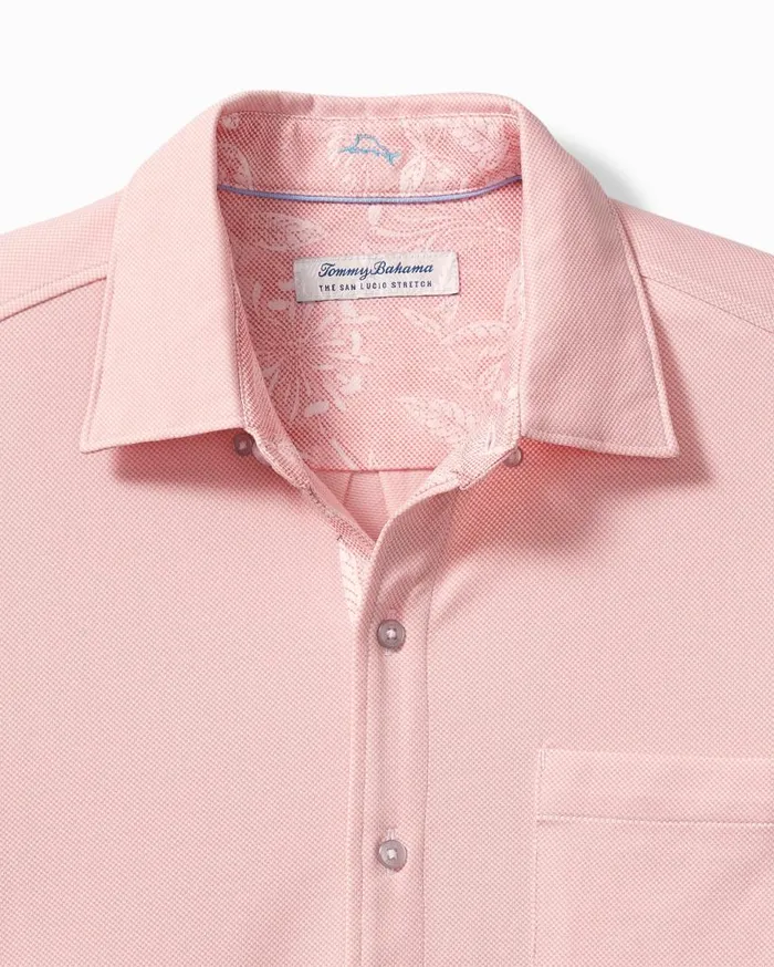 Big and Tall Big and Tall Coconut Point Pia Oasis IslandZone Camp Shirt Black Tommy Bahama Shirts Big and Tall Big and Tall Coconut Point Pia Oasis IslandZone Camp Shirt Black Tommy Bahama Shirts