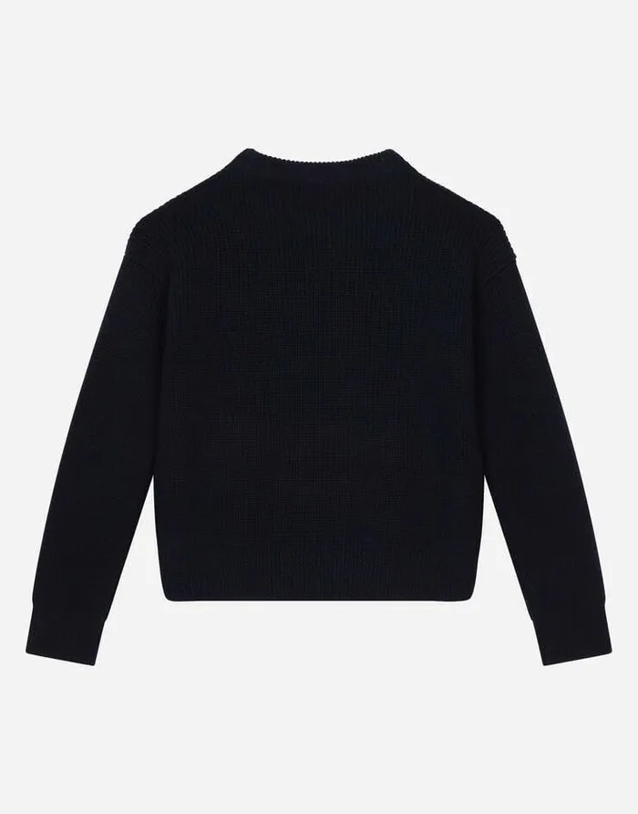Dolce and Gabbana Sweaters Children Roundneck Sweater With DG Logo Inlay Multicolor Dolce and Gabbana Sweaters Children Roundneck Sweater With DG Logo Inlay Multicolor