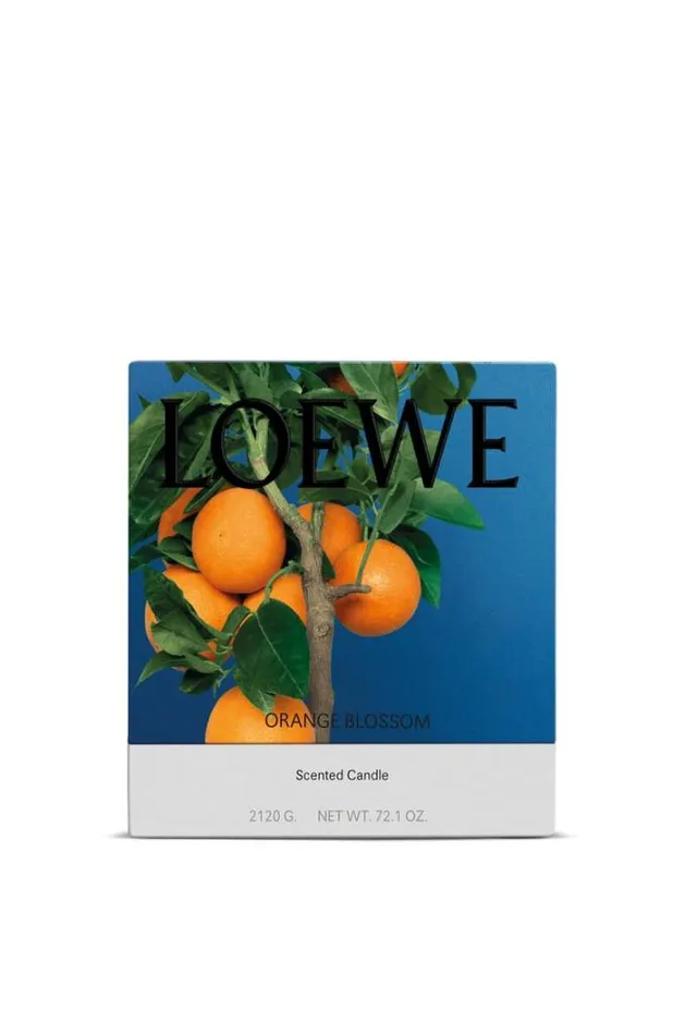 Loewe Large Orange Blossom Candle Bright Mandarin Women Home Scents Loewe Large Orange Blossom Candle Bright Mandarin Women Home Scents