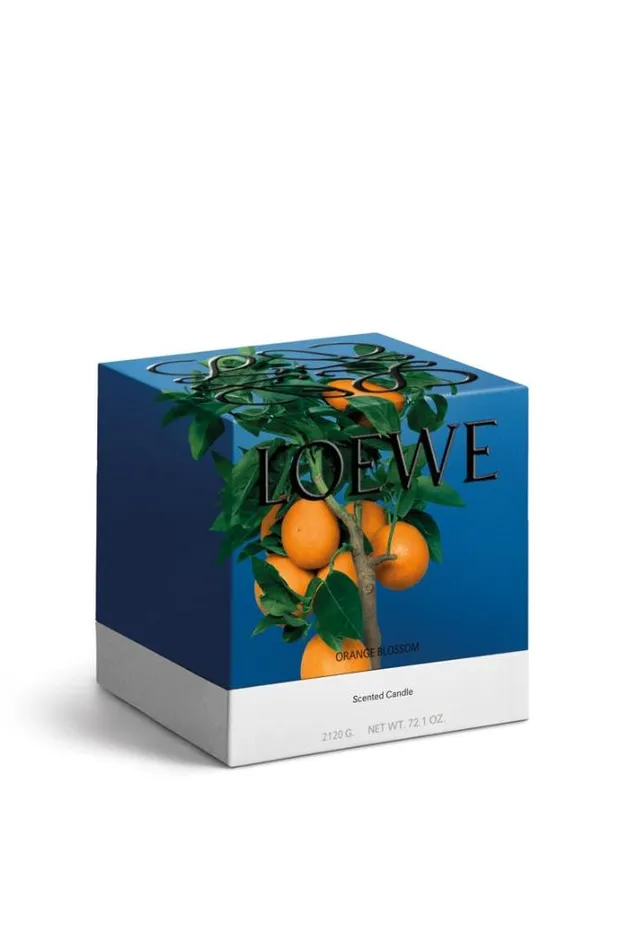Loewe Large Orange Blossom Candle Bright Mandarin Women Home Scents Loewe Large Orange Blossom Candle Bright Mandarin Women Home Scents