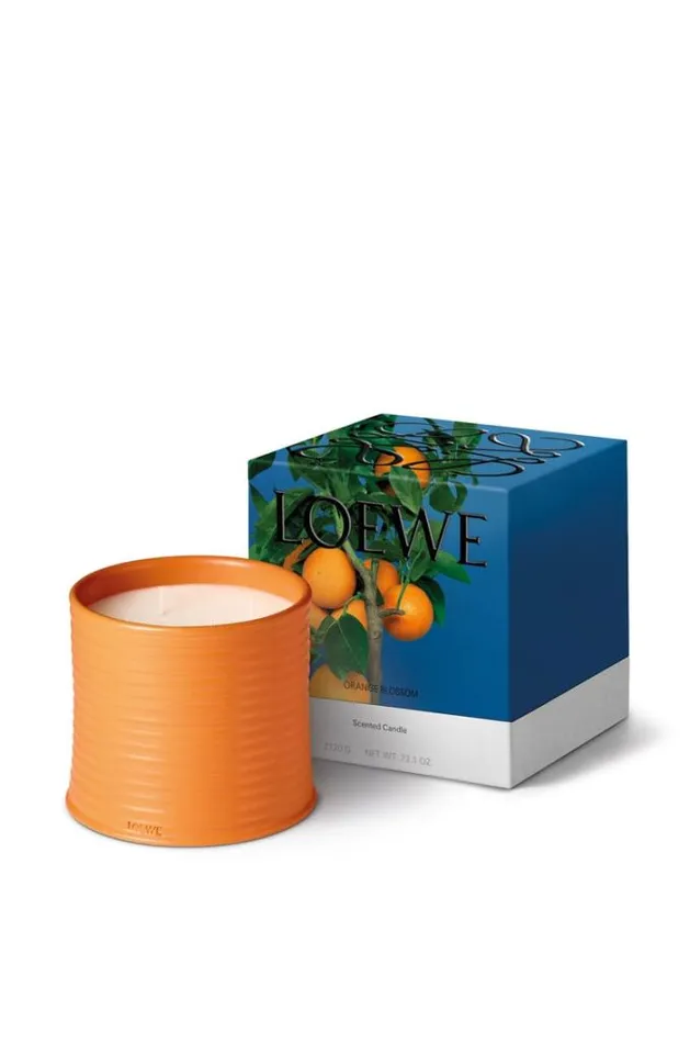 Loewe Large Orange Blossom Candle Bright Mandarin Women Home Scents Loewe Large Orange Blossom Candle Bright Mandarin Women Home Scents
