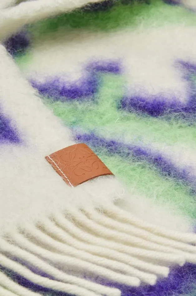 Loewe LOEWE Scarf In Wool And Mohair Whitegreen Men Scarves