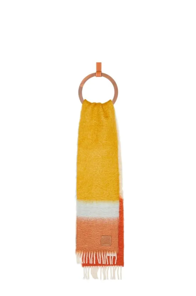 Loewe Scarf In Mohair And Wool Camelmulticolor Women Scarves