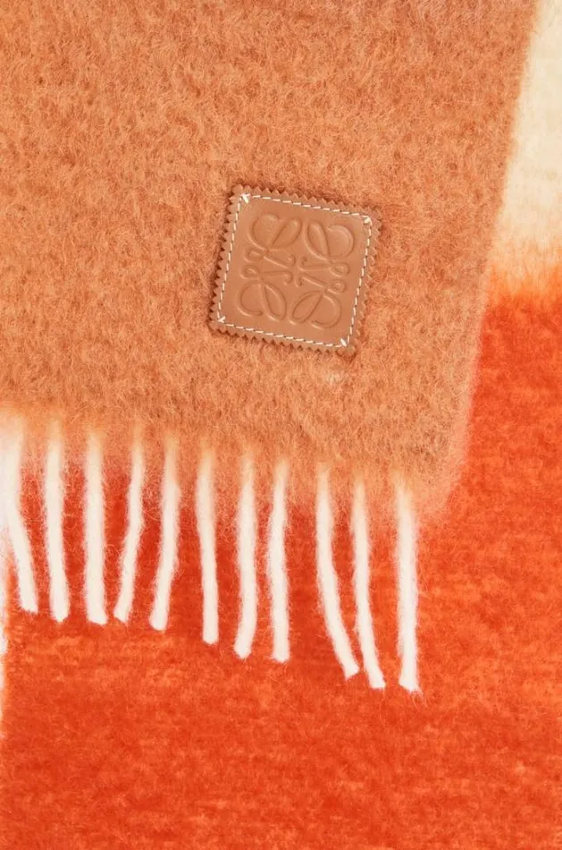 Loewe Scarf In Mohair And Wool Camelmulticolor Women Scarves