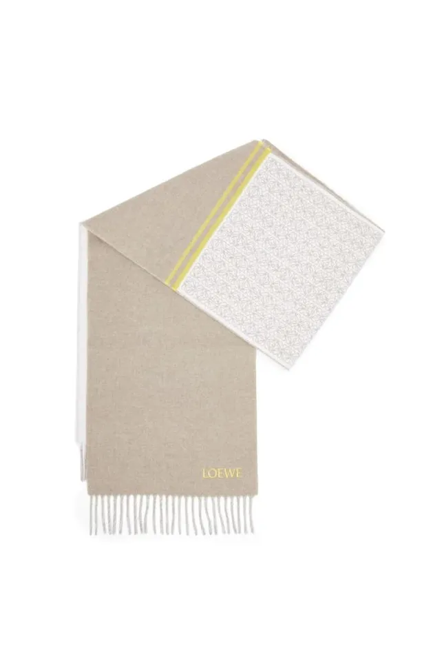 Loewe Scarf In Wool And Cashmere Browncream Women Scarves