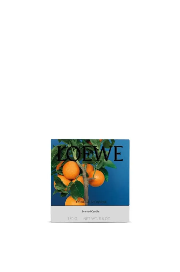 Loewe Small Orange Blossom Candle Bright Mandarin Women Home Scents Loewe Small Orange Blossom Candle Bright Mandarin Women Home Scents
