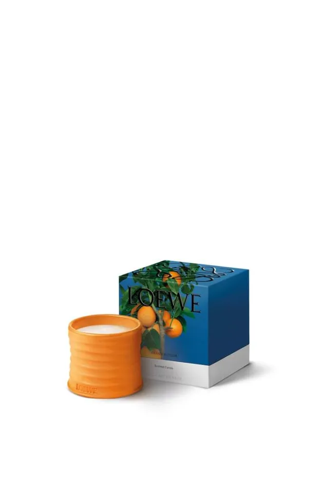 Loewe Small Orange Blossom Candle Bright Mandarin Women Home Scents Loewe Small Orange Blossom Candle Bright Mandarin Women Home Scents