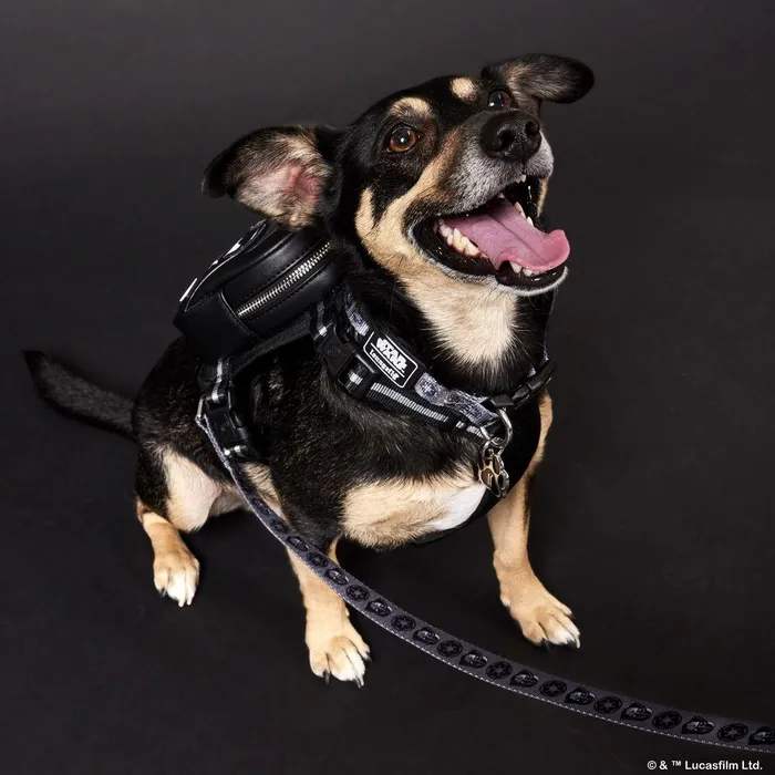 Loungefly Pet Accessories Unisex Star Wars Darth Vader Dog Collar Loungefly Pet Accessories Unisex Star Wars Darth Vader Dog Collar