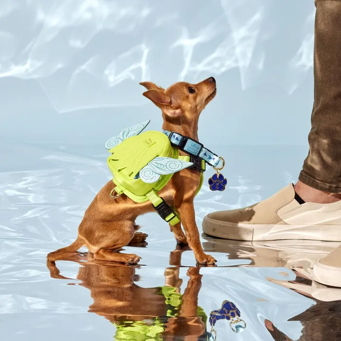 Loungefly Small Accessories Unisex Peter Pan Tinker Bell Cosplay Glitter Mini Backpack Dog Harness Loungefly Small Accessories Unisex Peter Pan Tinker Bell Cosplay Glitter Mini Backpack Dog Harness