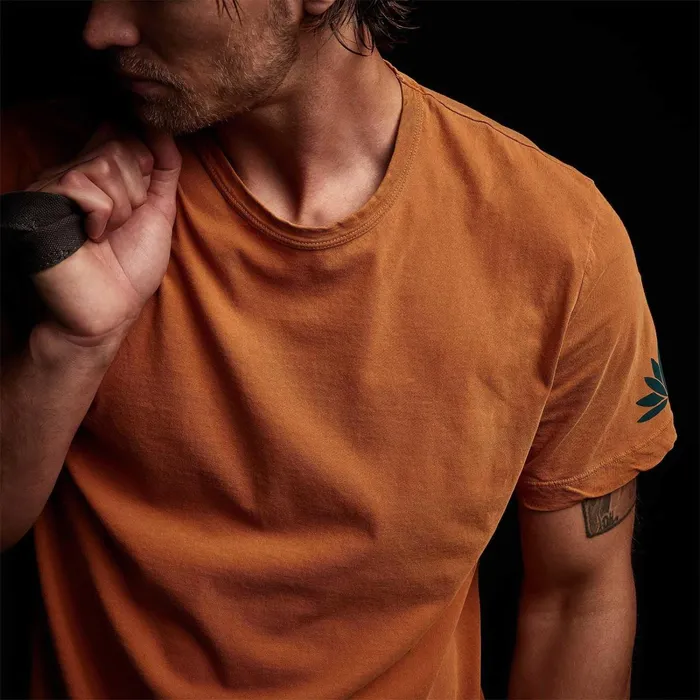 Men TShirts James Perse Malibu Shoreline Graphic Crew Citrine Pigment