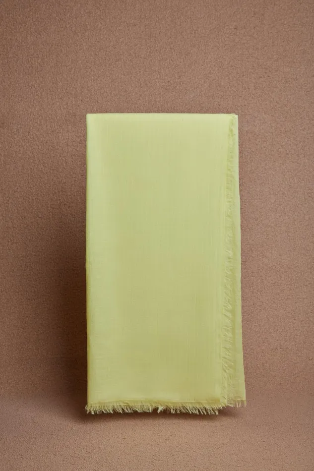 Scarves and Gloves Women Gabriela Hearst Botanical Dye Scarf In Cashmere