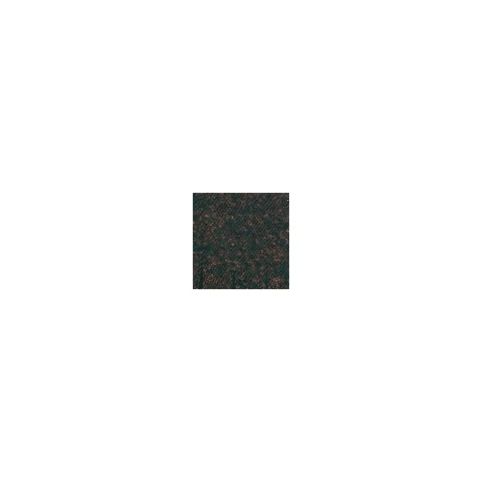 Scarves Women Moda In Pelle Asterscarf Green Textile