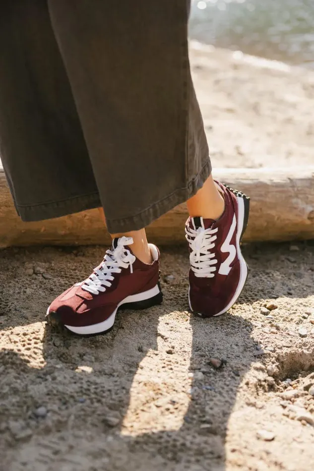 Shoes Women Bohme Steve Madden Campo Sneakers In Burgundy Burgundy
