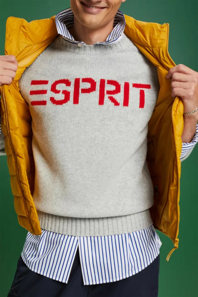 Sweaters Men Esprit Wool Cashmere Logo Sweater Light Grey