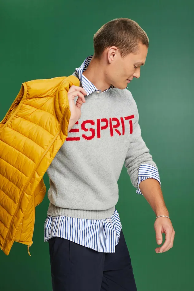 Sweaters Men Esprit Wool Cashmere Logo Sweater Light Grey