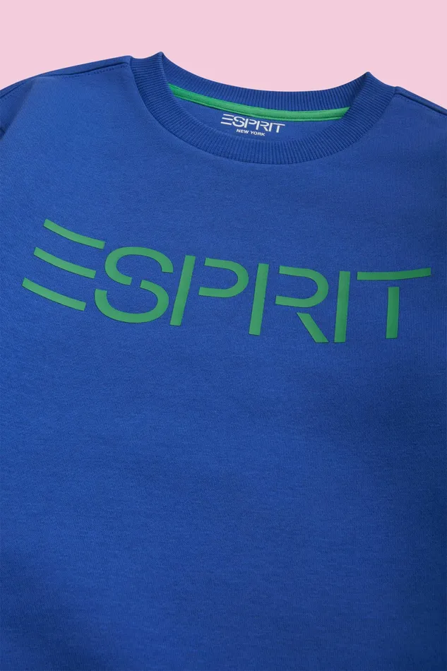 Sweatshirts Kids Esprit Logo Crewneck Sweatshirt Bright Blue