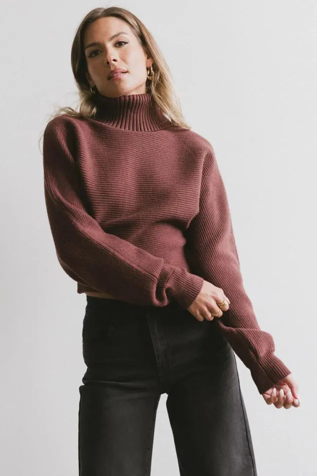 Tops Women Bohme Gracelyn Turtleneck Sweater In Redbrown Redbrown