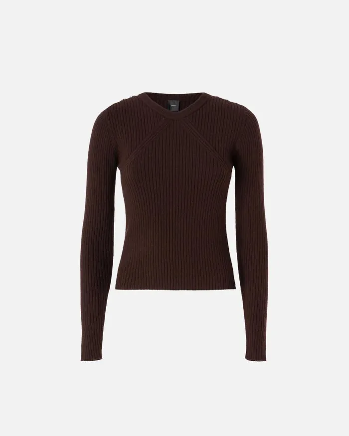 Women Cardigan Pinko Longsleeved Ribbed Wool Sweater Brown Women Cardigan Pinko Longsleeved Ribbed Wool Sweater Brown