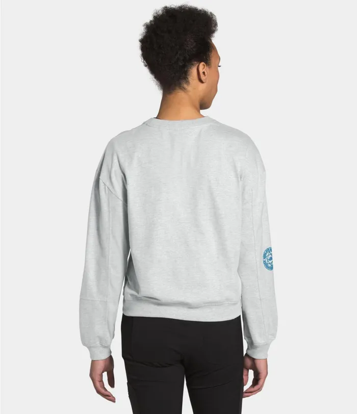 Womens TShirts The North Face W GRAPHIC COLLECTION LS KNIT TOP Tnf Light Grey Heather